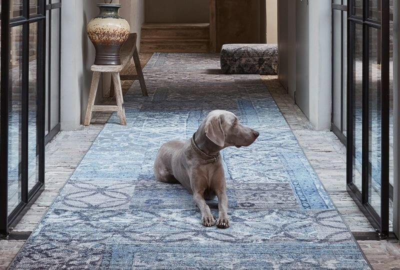 Hoe tapijt een verschil kan maken in je interieur